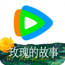 坐脸 窒息 死
